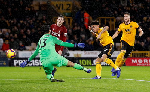 (狼队足球俱乐部百科)狼队足球俱乐部老板：管理团队，引领风向，热衷球场发展