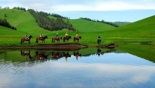 (欢迎来到绵羊村好玩吗)欢迎来到绵羊村告示牌的独特风景堪称绝佳景点