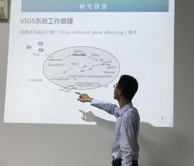 (猜想是科学探究的起点)探索猜想的意义与价值:从科学研究到日常思维的启示 (猜想是科学探究的起点)探索猜想的意义与价值:从科学研究到日常思维的启示