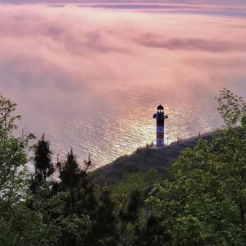 (小岛的作者资料和写作背景)小岛的作者及其个人经历和文学背景详细介绍 (小岛的作者资料和写作背景)小岛的作者及其个人经历和文学背景详细介绍