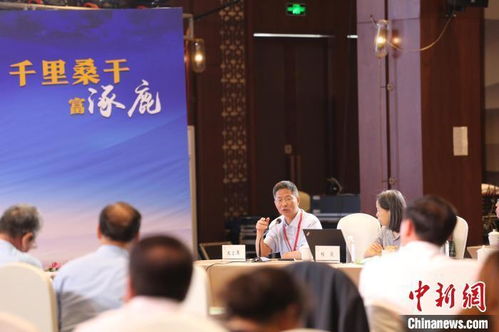 (李延军《黄帝传》)探寻黄帝传:李延军对华夏文化的深刻解读与影响研究 (李延军《黄帝传》)探寻黄帝传:李延军对华夏文化的深刻解读与影响研究