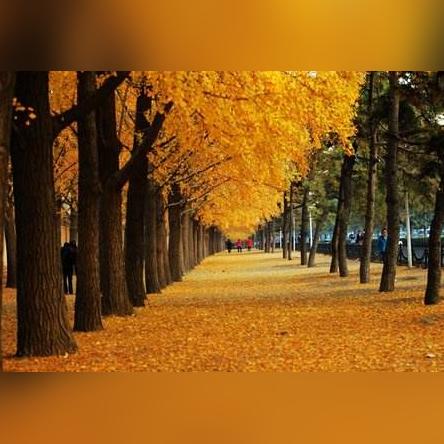 (生命轮回下一句是什么)生命轮回归来：重返过往，迎接未来，探寻永恒循环的奥秘