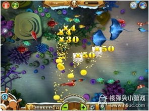 捕鱼达人全攻略:高手分享实用技巧与精彩视频,助你轻松赢得高分 捕鱼达人全攻略:高手分享实用技巧与精彩视频,助你轻松赢得高分