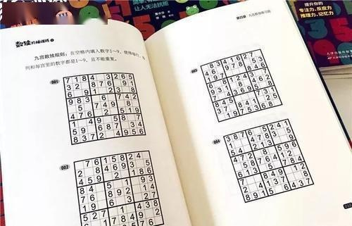 探索10级骨灰级数独:挑战极限智力,释放大脑潜力,开启无尽推理乐趣 探索10级骨灰级数独:挑战极限智力,释放大脑潜力,开启无尽推理乐趣