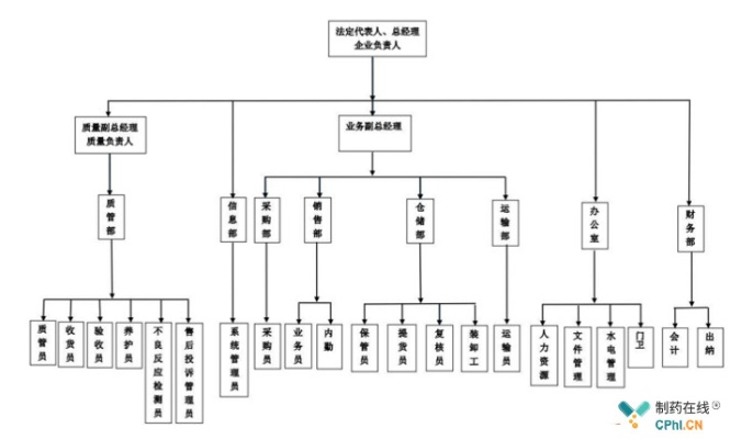(医药公司的组织架构)医药公司组织架构图设计与实施方法详解