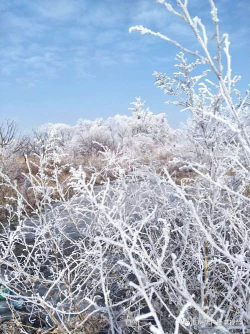 (雪是由水蒸气凝固而成的吗)雪是水蒸气在大气中凝结凝华而成的自然现象吗？