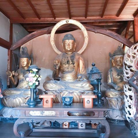 (小兔子的备忘录怎么写)高效办公必备：小兔子电脑备忘录软件助你轻松管理日程与任务