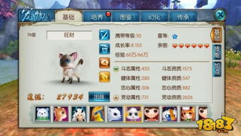 探索宠物世界的奥秘：喵呜次元官方网站领路者——为喵星人们的幸福生活打造专属领地