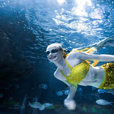 体验海底世界好去处：一游水族馆乐园无限金币无限钻石，尽享精彩海洋生物与热门游戏无限挑战