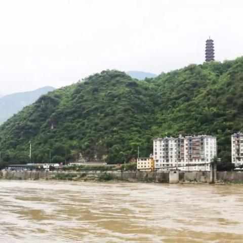 探讨《猎人×猎人》漫画及动画结局,热爱者们等待的结局真的已经来临了吗? 探讨《猎人×猎人》漫画及动画结局,热爱者们等待的结局真的已经来临了吗?