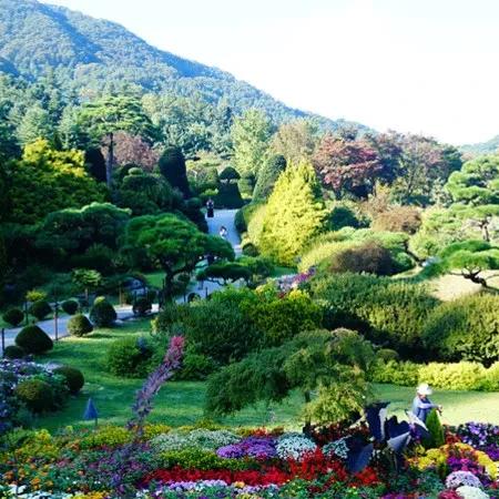 (花园之间全成就解锁条件汇总)在花园之间全成就：探究园艺之美，散步中的无尽惊喜。