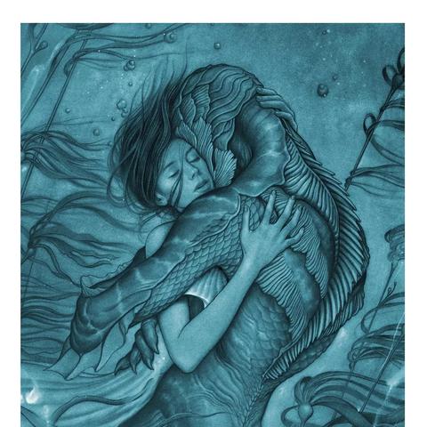 (心动恋语下载)当心动之恋开启的故事：恋物语小说全文阅读体验分享