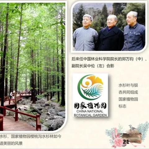 (植物大战僵尸2保卫植物的关怎么过)植物保卫战2：勇敢对抗僵尸大军，守护家园的英雄之战！