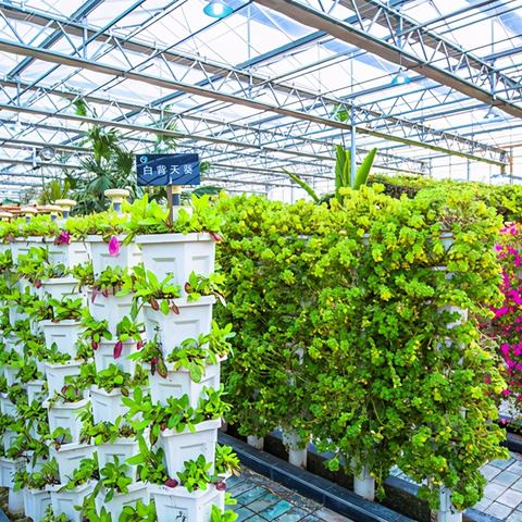 (楚汉争霸电视剧百度百科)楚汉争霸电视剧：重塑历史辉煌，探寻悠久文化传承的奇迹