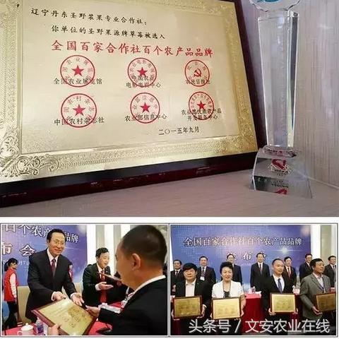 中至20比奖：揭秘如何在激烈的竞争中脱颖而出获得巨大荣誉和奖励