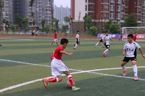 冠军足球物语2攻略:全面解析杯赛技巧与策略,助你赢得每场比赛! 冠军足球物语2攻略:全面解析杯赛技巧与策略,助你赢得每场比赛!