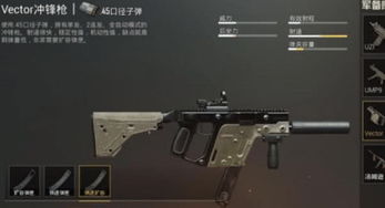 生存战争恒泰枪械模组手机版：详解真实战场体验，掌握关键生存能力