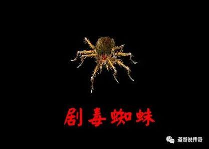(蓝色蜘蛛图标)传奇里蓝色蜘蛛是什么?传说中的神秘生物还是简单怪物? (蓝色蜘蛛图标)传奇里蓝色蜘蛛是什么?传说中的神秘生物还是简单怪物?
