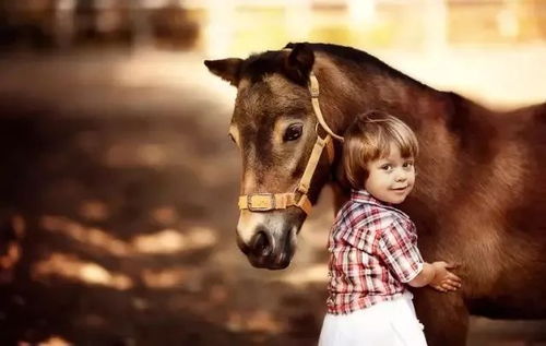 (动物互相吞噬成长的手游)残酷世界中的生存之旅：动物不断吞噬进化的游戏