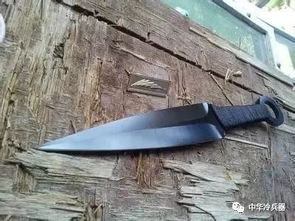 (射击训练技巧训练方法)掌握射击训练技巧，成为射击高手！