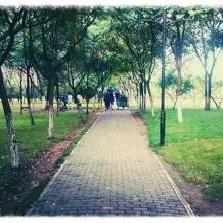 (沁人心脾的意思是什么呢?)沁人心脾是什么意思？原来如此，感受暖流涌动的美好体验