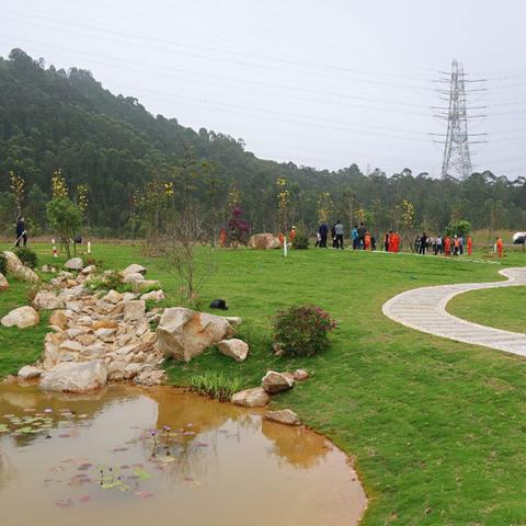 探讨益智休闲游戏《植物休闲大作战》的起源及其对现代电子游戏产业的影响