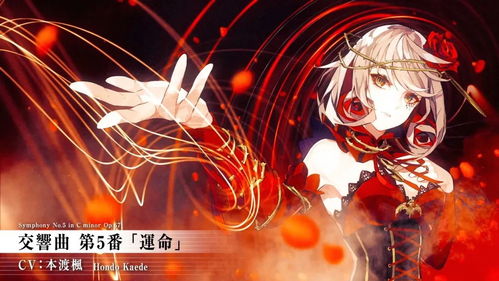 (宿命回响中的钢琴曲)宿命回响弦上的咏叹官网:探寻纷繁世界背后的奇迹与秘密 (宿命回响中的钢琴曲)宿命回响弦上的咏叹官网:探寻纷繁世界背后的奇迹与秘密