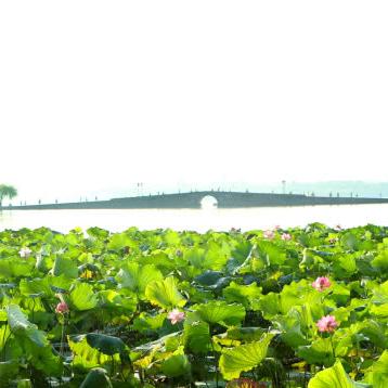 (良渚文化的发源地是我国哪个城市)良渚文化的发源地:探寻古代良渚人的居住地 (良渚文化的发源地是我国哪个城市)良渚文化的发源地:探寻古代良渚人的居住地