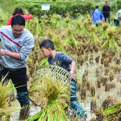 (丰收农场游戏)探索你的独特农场生活体验,手机版带你享受丰收乐趣 (丰收农场游戏)探索你的独特农场生活体验,手机版带你享受丰收乐趣