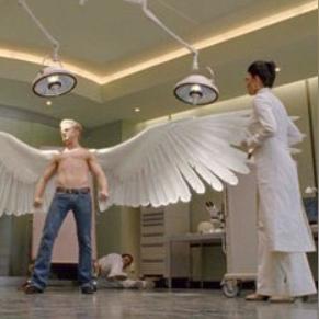 (人类进化论什么意思)科学研究展示：人类进化论遭到推翻，新的发现引发学术界热议