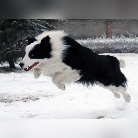 (人类进化论什么意思)科学研究展示:人类进化论遭到推翻,新的发现引发学术界热议 (人类进化论什么意思)科学研究展示:人类进化论遭到推翻,新的发现引发学术界热议