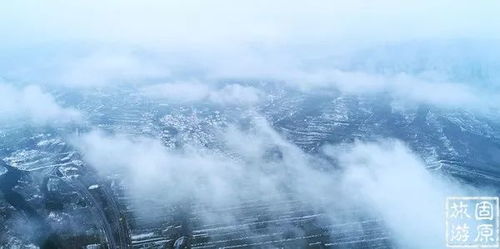 (水墨畅想)畅享无广告的水墨记：尽情沉浸于纯粹的艺术体验中