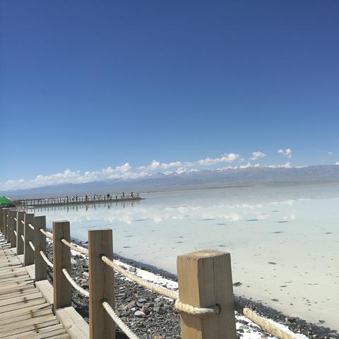 (人类跌落梦境(官方正版))人类跌落梦境：探索现实与幻想交织的深渊【正版原创】