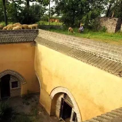 (幸存者的探索)探秘幸存者村落：历经沧桑，见证生命奇迹的遗留之地