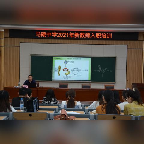 (2021养成类手游排行榜)2021年最热门的十大养成手游排行榜揭晓，快来看看排名如何！