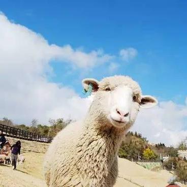 (模拟农场20地图下载)挑战高山地形，探索新视野：模拟农场20高山地图魔揭秘