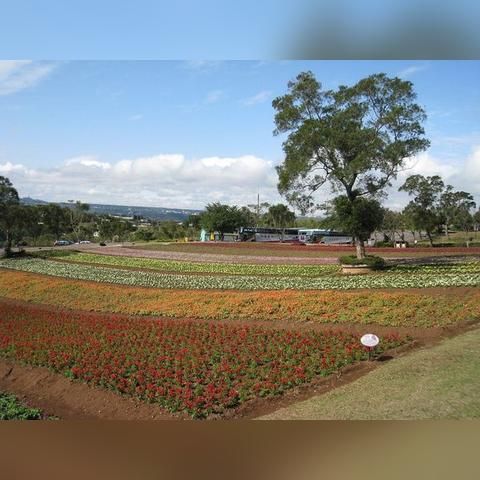 (恋香缘游戏攻略)追寻爱情的奇幻之旅：恋香缘游戏带你探寻爱的甜蜜之道