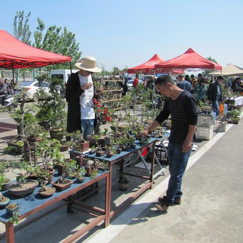 探索无限可能：宇宙小镇职业百度贴吧里的职业介绍和职业选择攻略解析