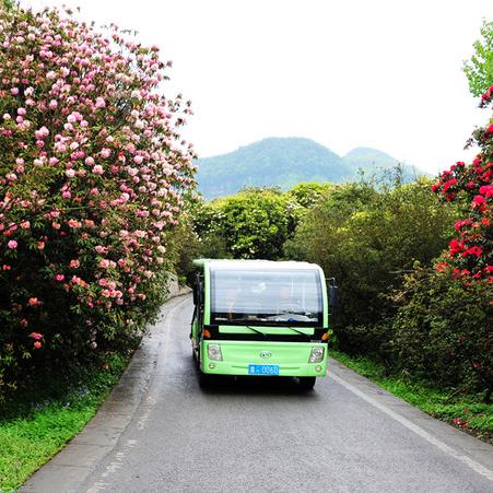 (蟋蟀合集)蟋蟀花园里隐藏的神秘之谜和未知秘密