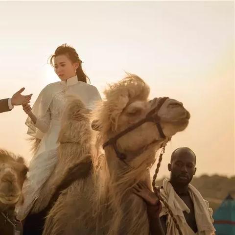 (wiki食之契约攻略)探索世界美食，发现食之契约wiki的无尽传奇与美食盛宴