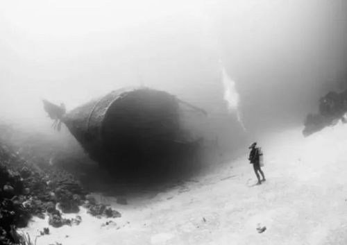 探索摄影艺术：逆光是什么意思？解读其在摄影中的创作魅力与实践技巧