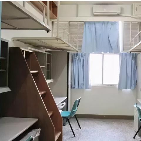 荒野冒险游戏攻略大全：从基础生存技巧到高级挑战应对一应俱全