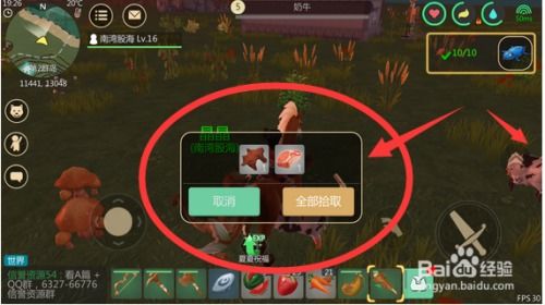 (魔法探索游戏)探索神秘魔法手环在线观播放的奇幻世界