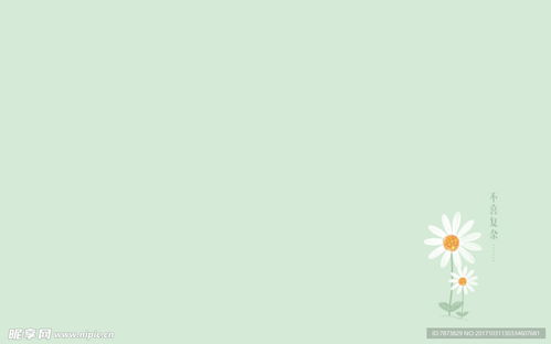 (电脑壁纸图片 小清新)电脑壁纸图片大全高清：专注各种主题，打造唯美电脑视觉享受