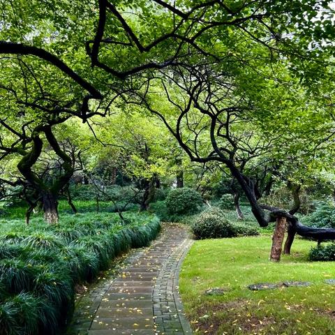 (杭州一日游经典路线攻略)杭州经典一日游攻略：如何在短时间内体验最美的杭州魅力