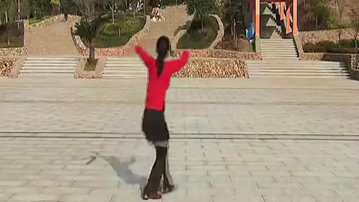 广场舞传奇背面演示：揭秘舞蹈背后的故事与技巧，助你成为跳舞达人