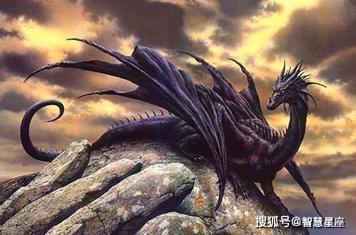 (元龙第四集预告)请问元龙第四季是为什么停更了呢？