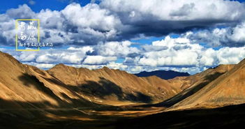 (鸡鸣山在指定位置修建草药田)鸡鸣山开奇方，探秘神秘药草的起源与功效