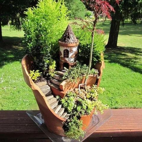 (时间花园:解谜)探索时间花园的奥秘：全面图鉴与介绍各类神秘植物的美丽世界