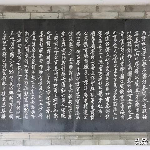 揭秘上海曙光学者的含金量，他们的背景、研究成果和声誉如何？